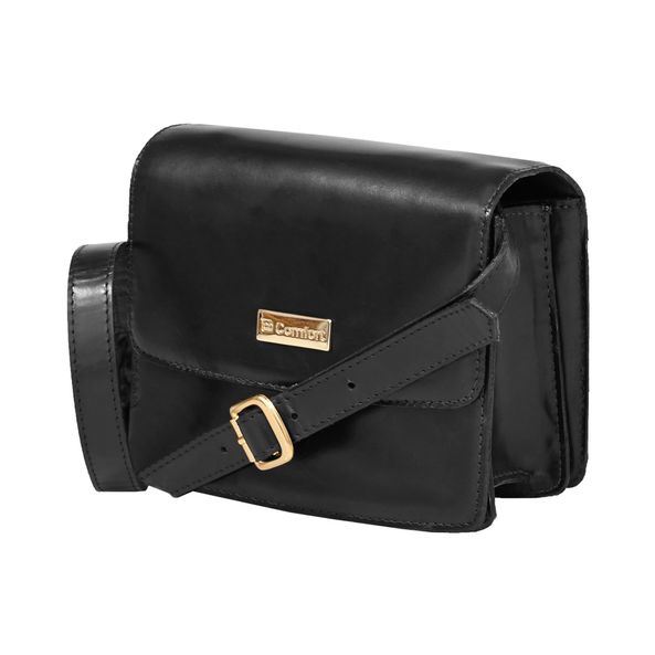 celine horse carriage bolsa